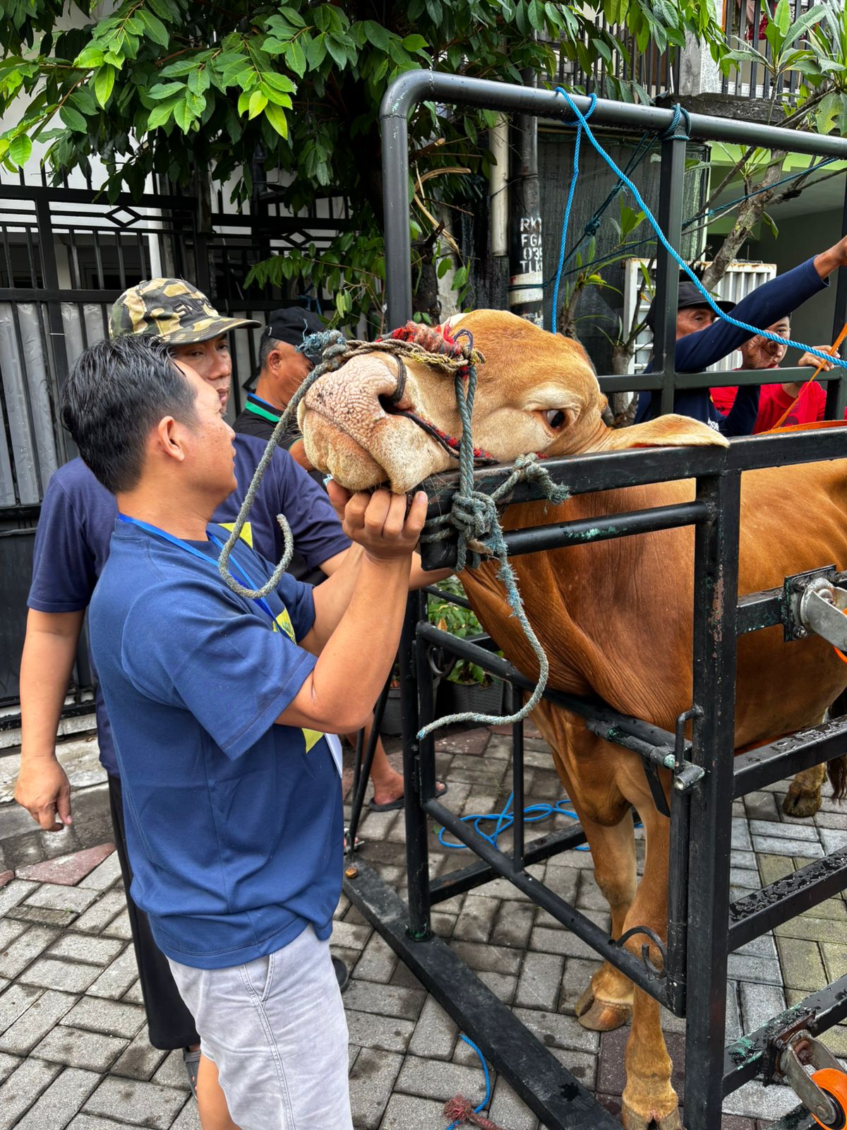 Penyembelihan Hewan Qurban di Masjid Al Muhajirin Medokan Ayu Berjalan Sukses dan Lancar